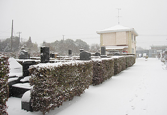 2014年2月の雪の風景です、普段とは違った雰囲気ですね。